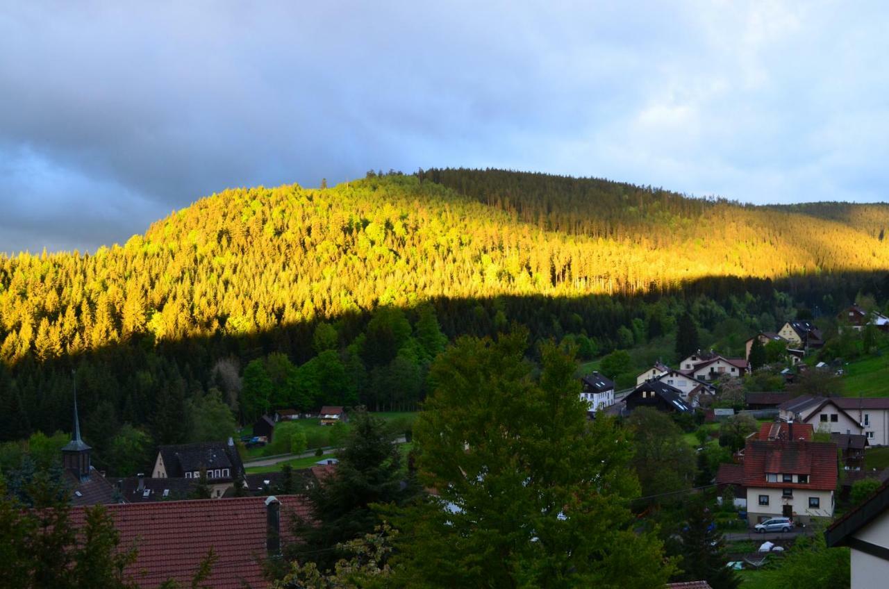 Ferienwohnung Am Kurpark Bad Wildbad Exterior foto